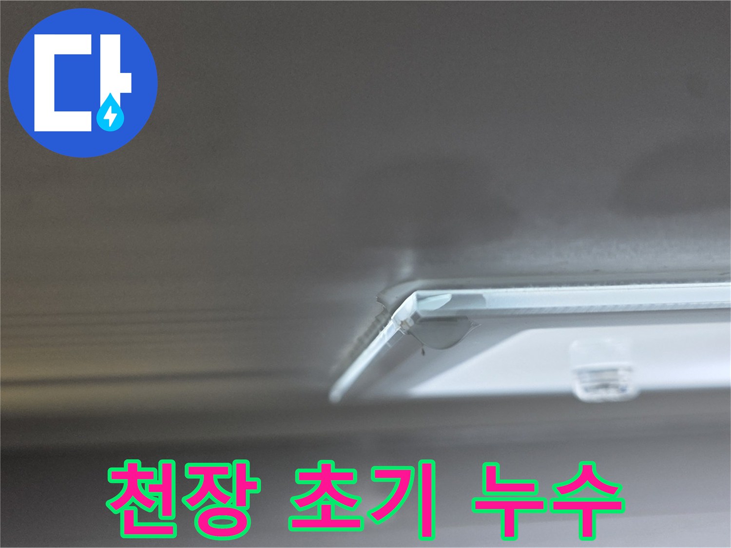 양주 옥정동 율정마을 13단지 아파트 천장 누수 - 초기 누수 발견으로 빠른 조치가 가능합니다.