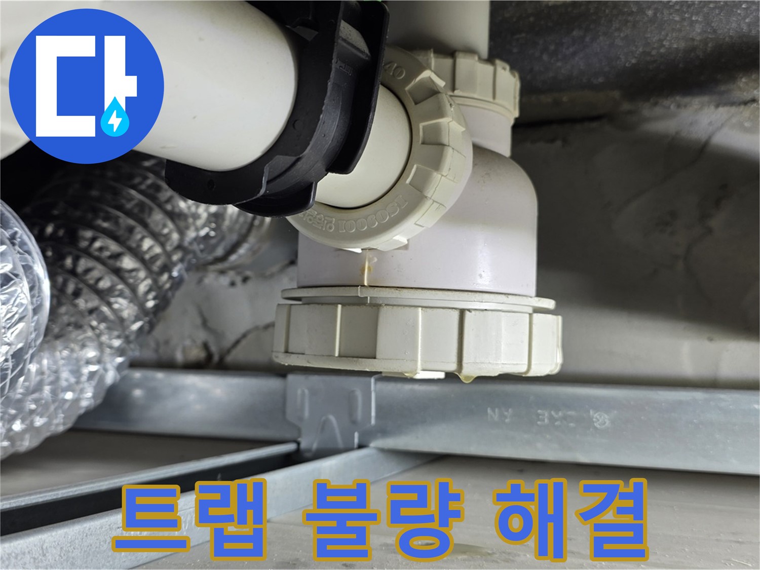 옥정 율정마을 누수 - 세탁기 하수구 트랩 불량으로 인한 누수 및 악취 해결