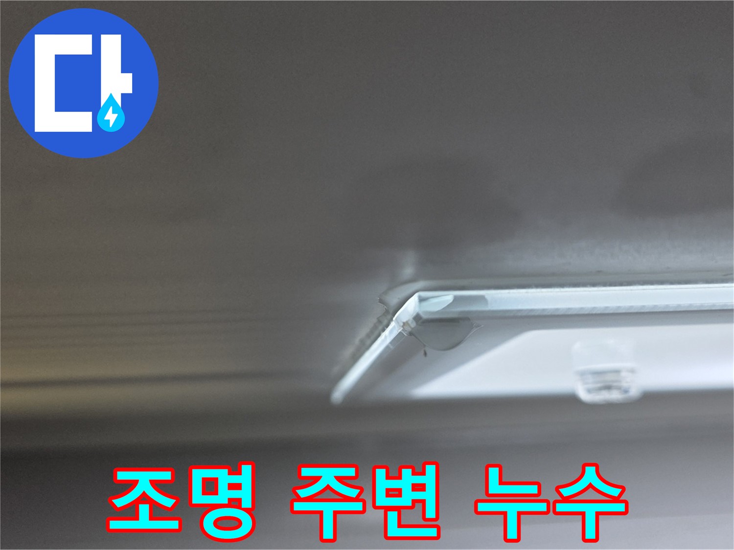 옥정 율정마을 아파트 천장 누수 - 조명 주변에 누수 흔적이 선명하게 나타나고 있습니다.
