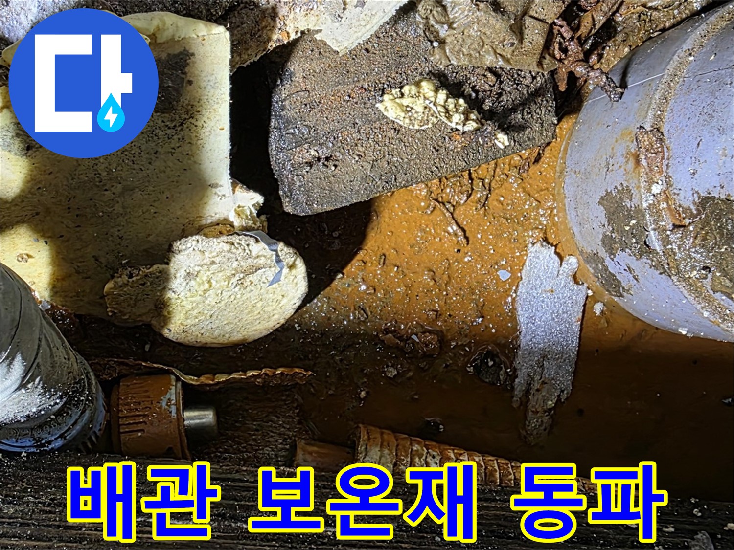 원삼 누수 현장 - 배관 부식과 보온재 문제 - 겨울철 동파 대비가 필수입니다.