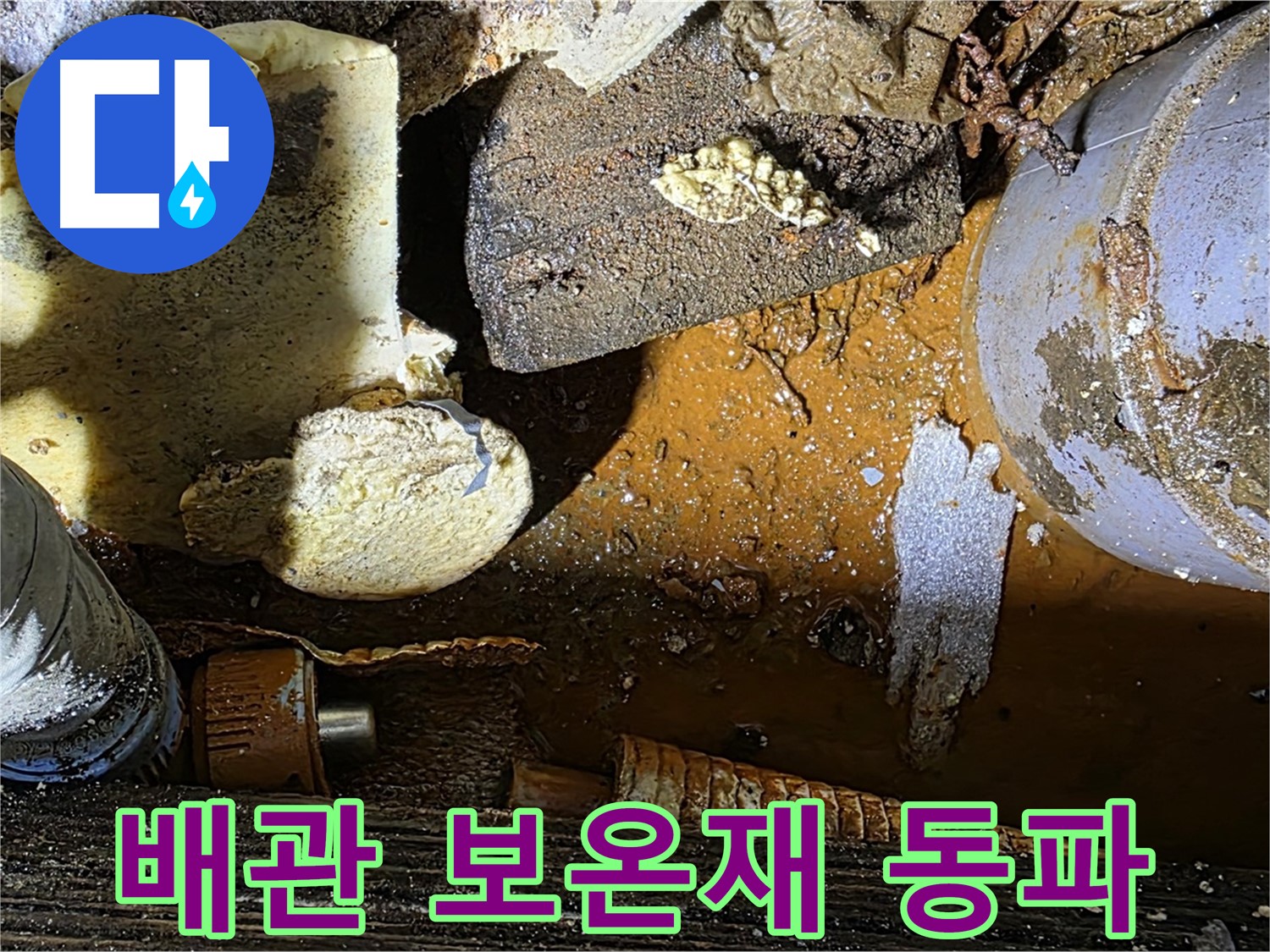 원삼면 누수 현장 - 낡은 배관과 훼손된 보온재 - 겨울철 동파 대비가 필요합니다.
