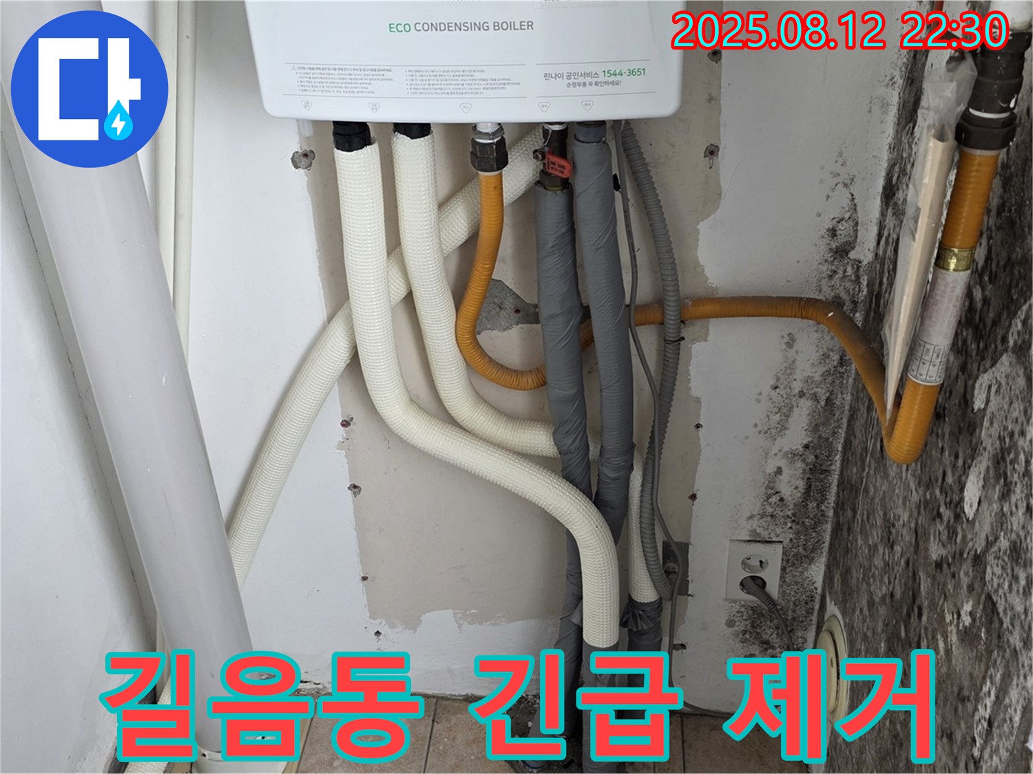 길음동 숭인1동 노후 주택의 긴급 벽 누수 - 24시간 출동하여 누수 문제를 해결하고 곰팡이 제거까지 신속하게 처리했습니다.