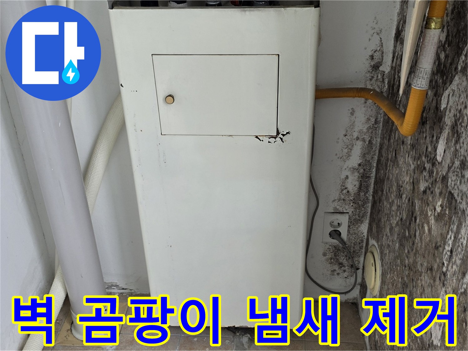 길음동 숭인로 - 곰팡이 핀 벽의 곰팡이 냄새 제거 시공을 위한 전문가 방문