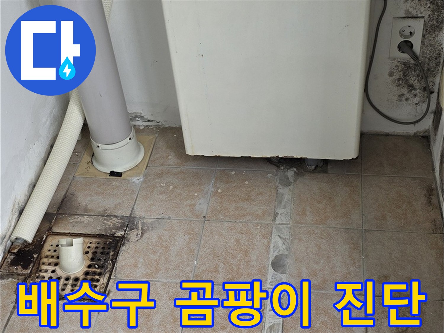 보일러 배수구 주변 곰팡이 - 역류 및 누수 긴급 진단