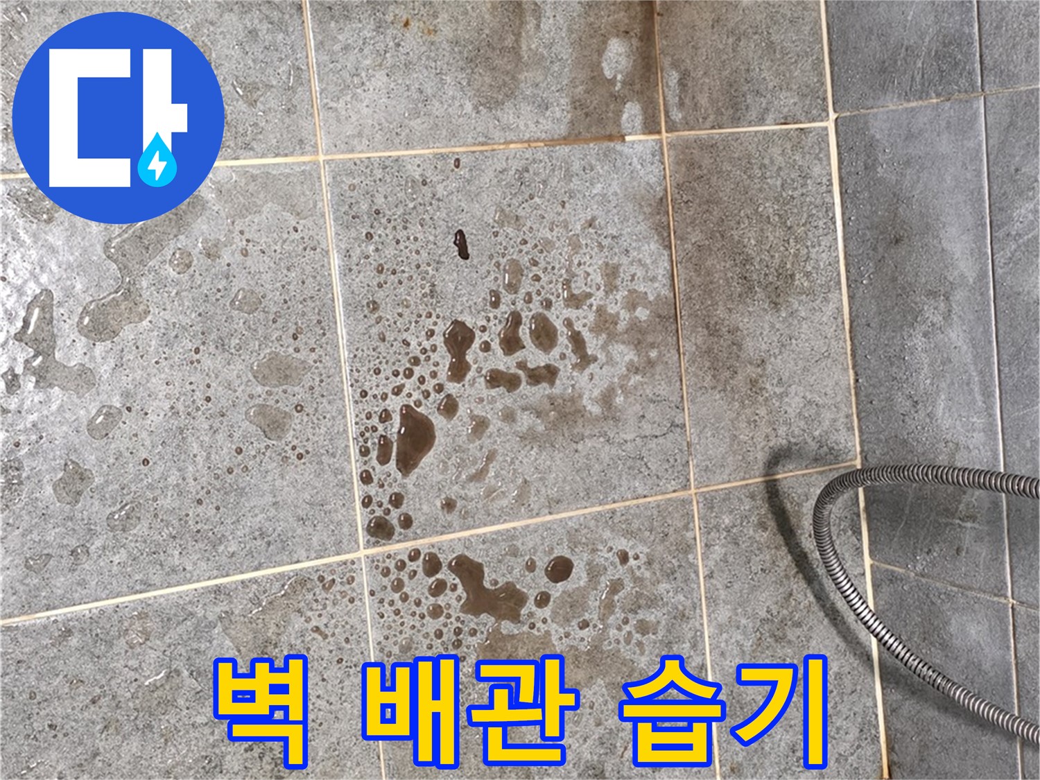 샤워기 벽 배관 누수 의심 - 타일 습기 - 정밀 진단