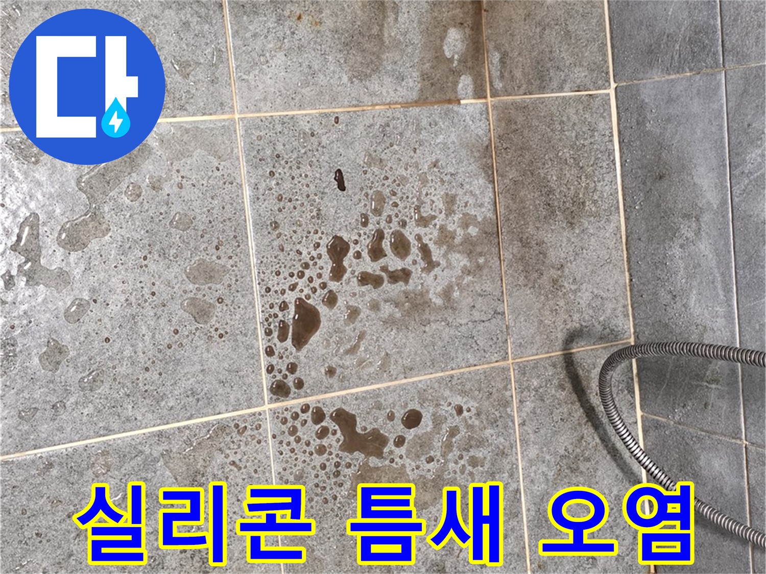 샤워부스 벽면 실리콘 들뜸 - 틈새 오염 확인