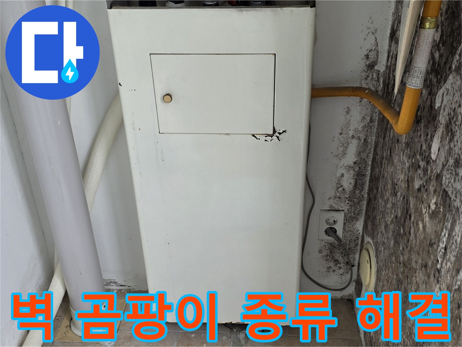 성북구 길음동 숭인로 - 곰팡이 핀 벽의 곰팡이 종류별 맞춤 해결을 위한 전문가 방문