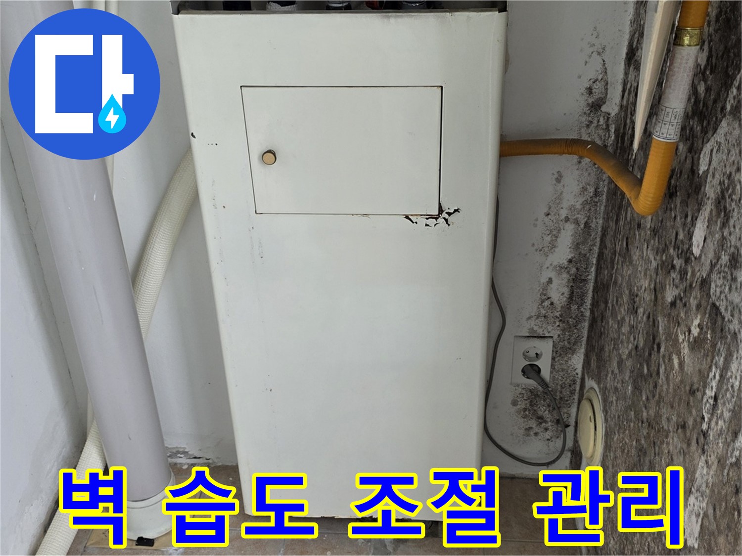 성북구 길음동 숭인로 - 곰팡이 핀 벽의 습도 조절 및 곰팡이 관리를 위한 전문가 방문