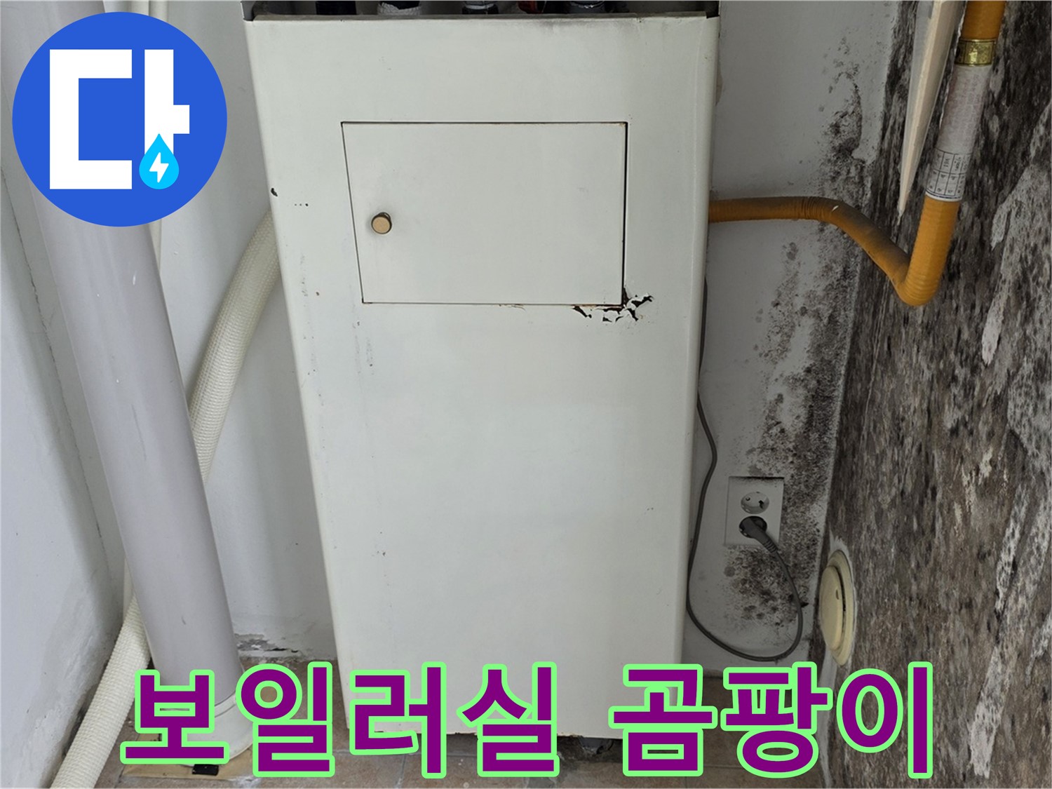 성북구 숭인동 - 길음1동 곰팡이 핀 보일러실 벽면 누수 진단 - 누수 전문가의 꼼꼼한 점검