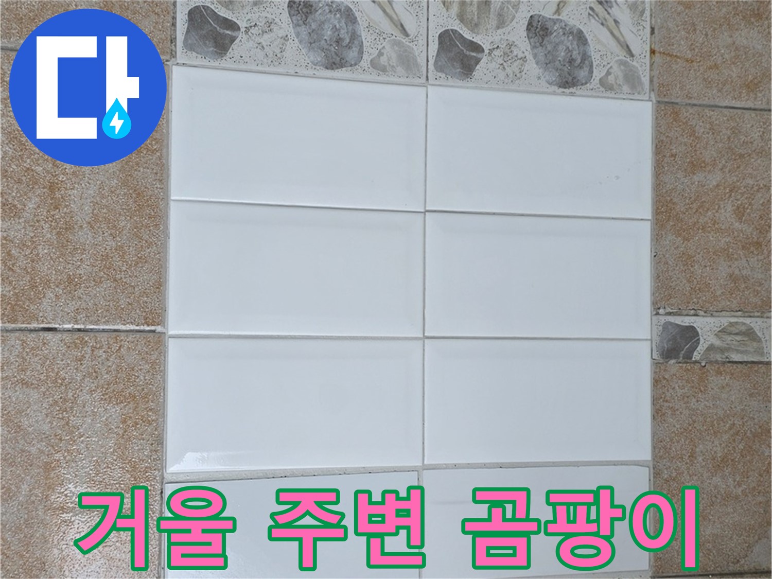 성북구 욕실 거울 주변 곰팡이 - 곰팡이 제거 및 실리콘 재시공