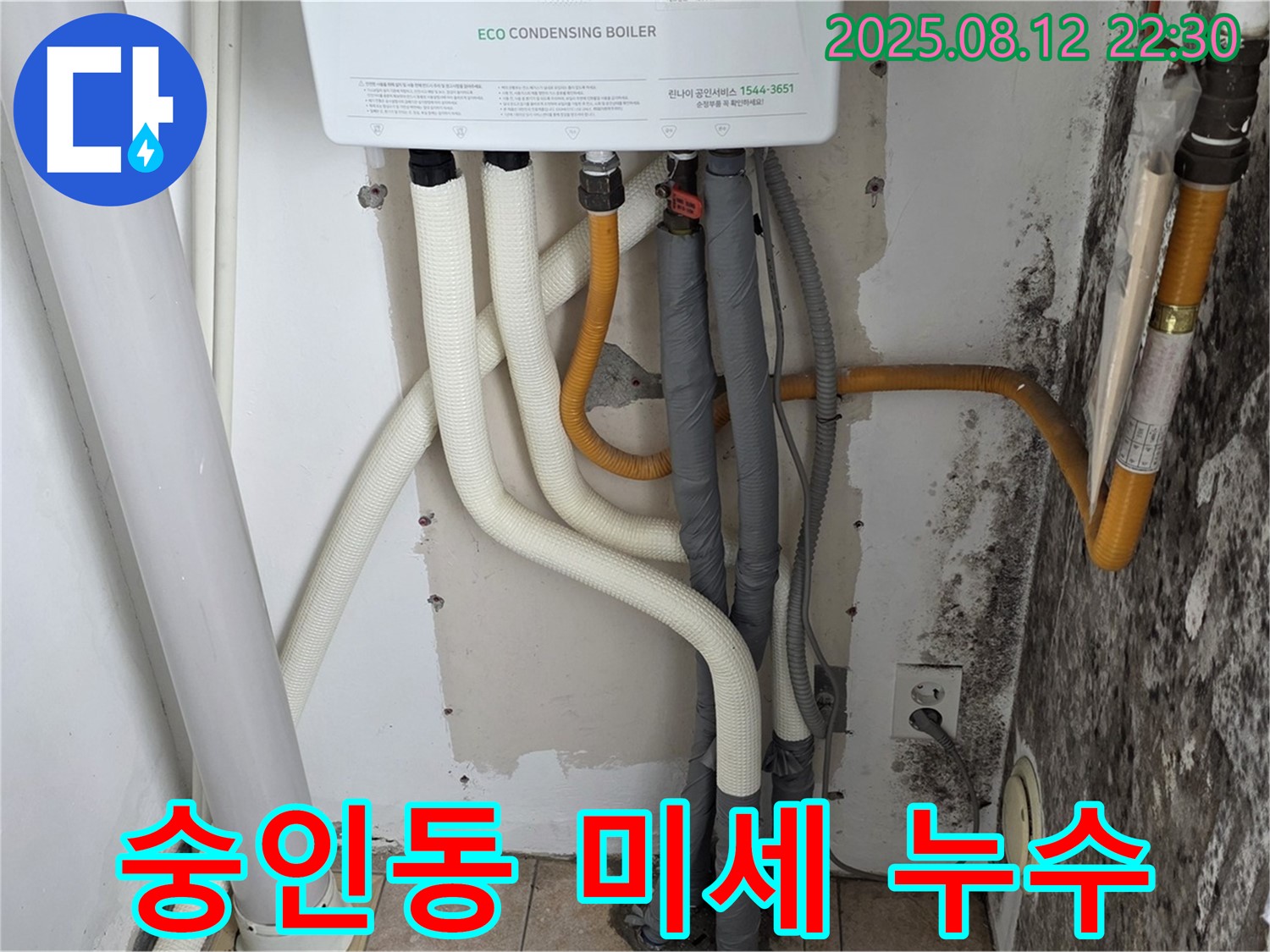 숭인동 길음동 노후 주택의 벽 미세 누수 문제 - 첨단 누수탐지 장비로 정확하게 누수 지점을 찾아 곰팡이 문제까지 해결했습니다.