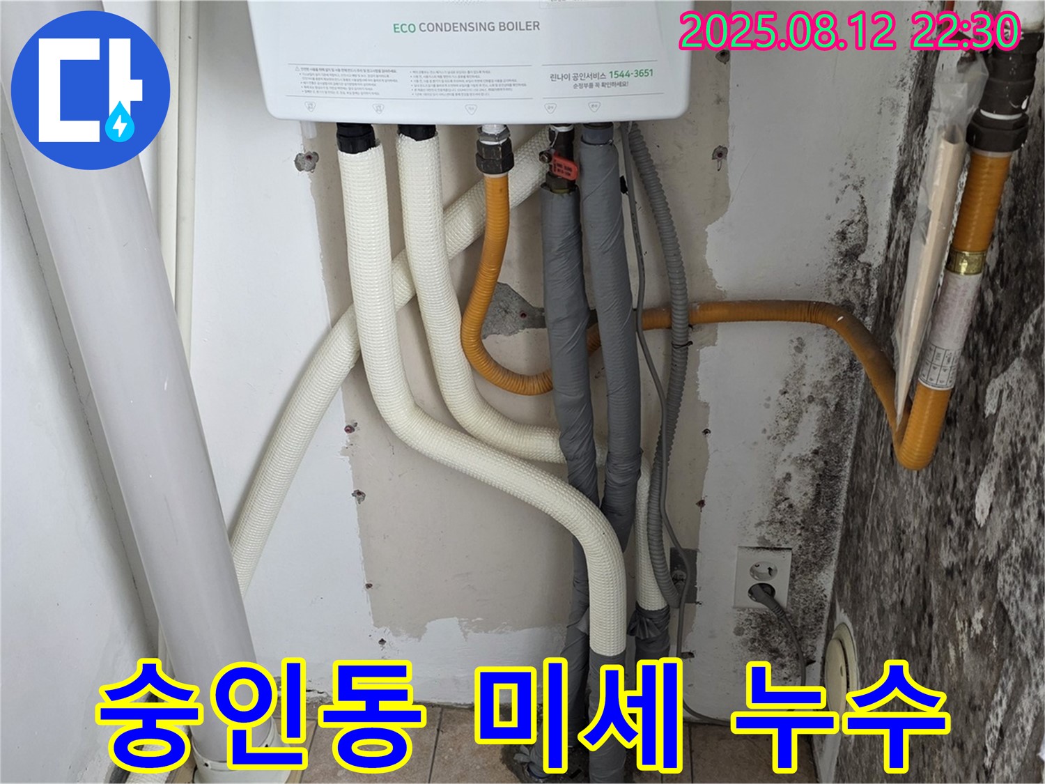 숭인동 길음동 노후 주택의 벽 미세 누수 문제 - 첨단 누수탐지 장비로 정확하게 누수 지점을 찾아 곰팡이 문제까지 해결했습니다.