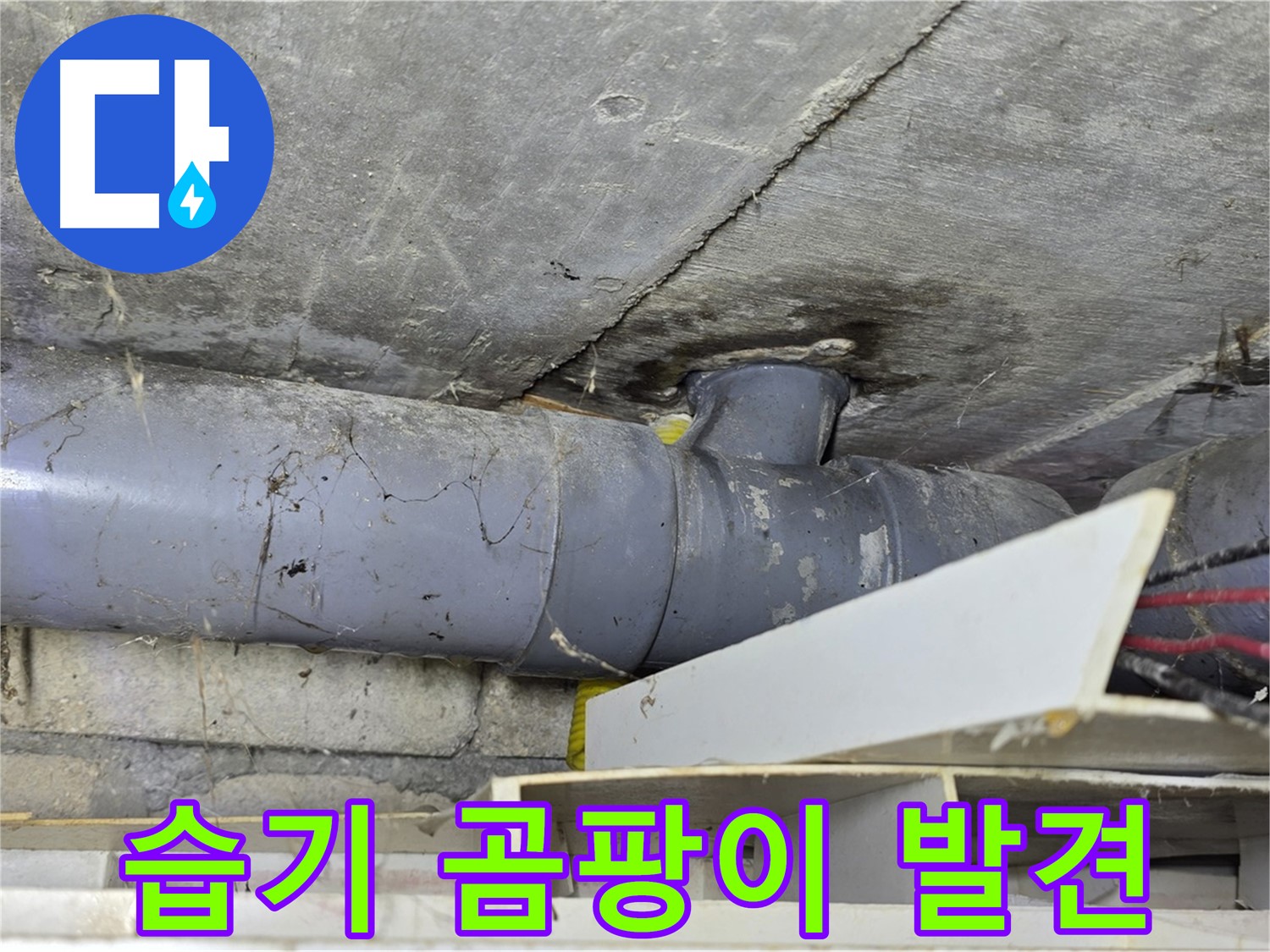 배관 주변 - 습기 및 곰팡이