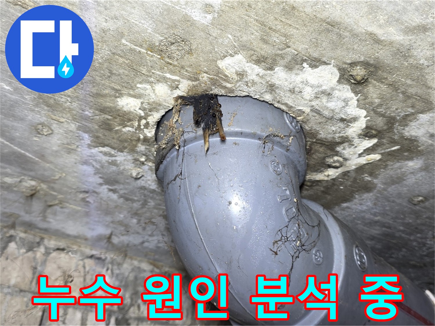 수유동 삼광빌라 누수 - 누수 원인을 꼼꼼하게 분석하는 과정