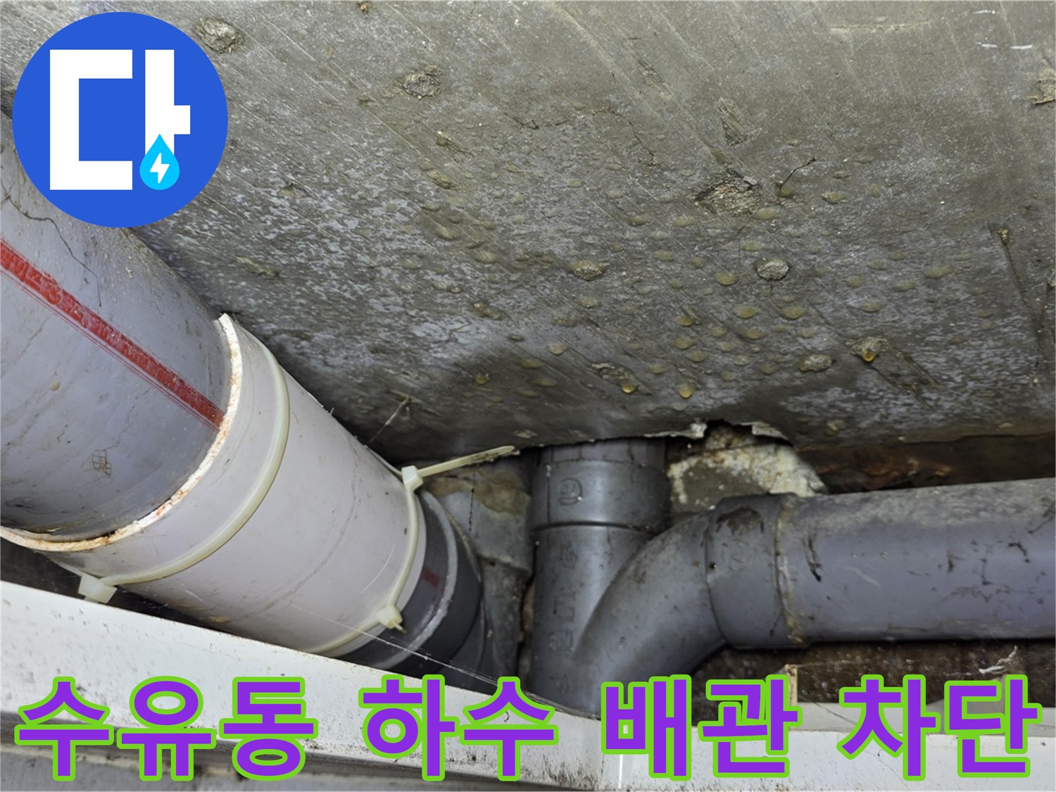 수유동 삼양로 삼광빌라 누수 - 하수 배관 누수 완벽하게 차단