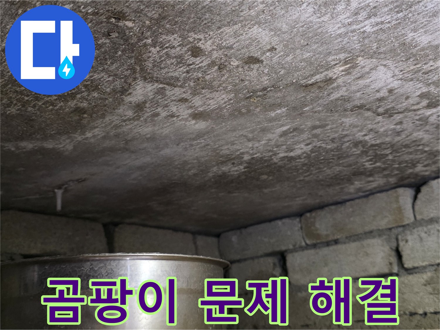 용인 처인구 원일아파트 - 곰팡이 문제 완벽하게 해결