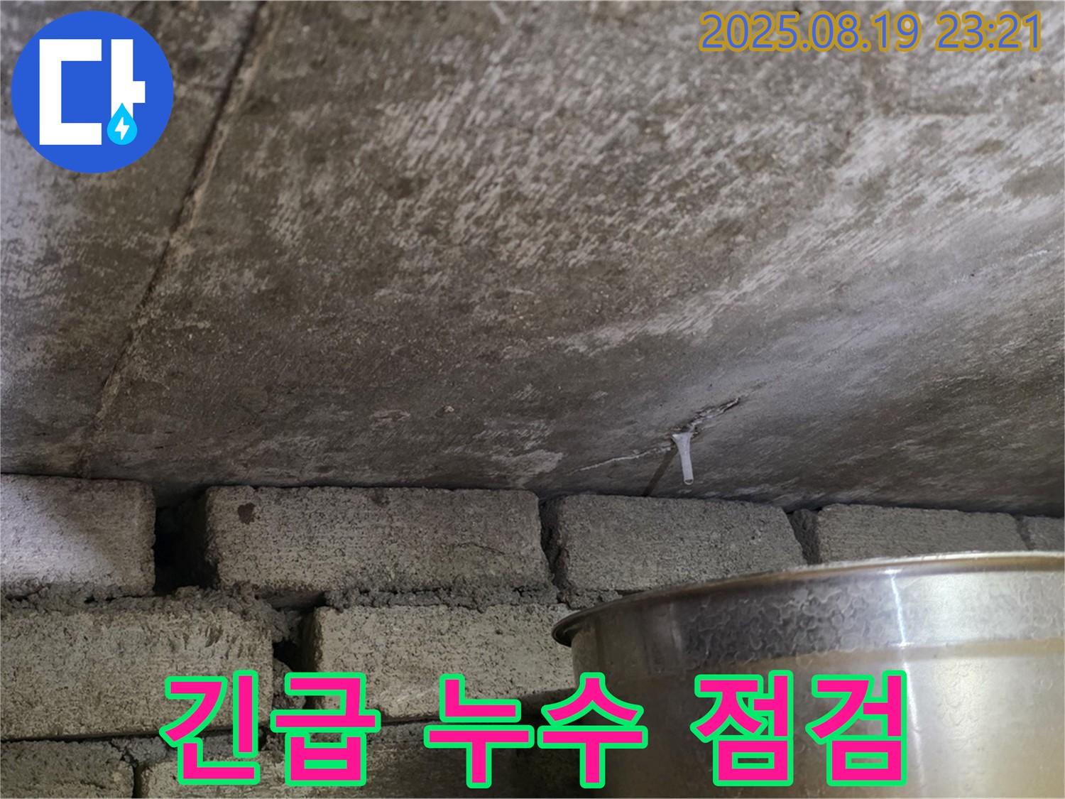 용인시 처인구 원일아파트 천장 누수 긴급 점검 현장 - 누수 상황을 신속하게 파악하고 있습니다.