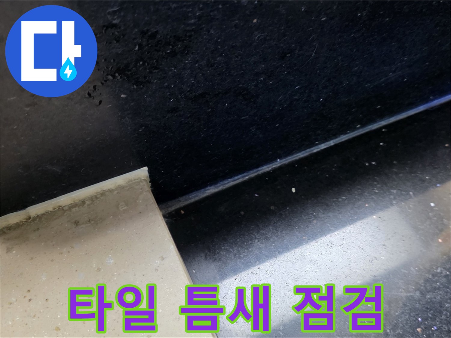 고양시 일산서구 하이파크 아파트 타일 틈새 점검 - 누수 탐지의 기본입니다.