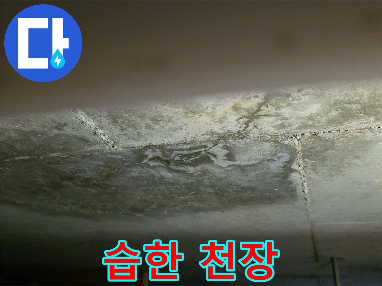 일산서구 가좌동 아파트 습한 천장 - 누수 가능성 진단 및 긴급 점검