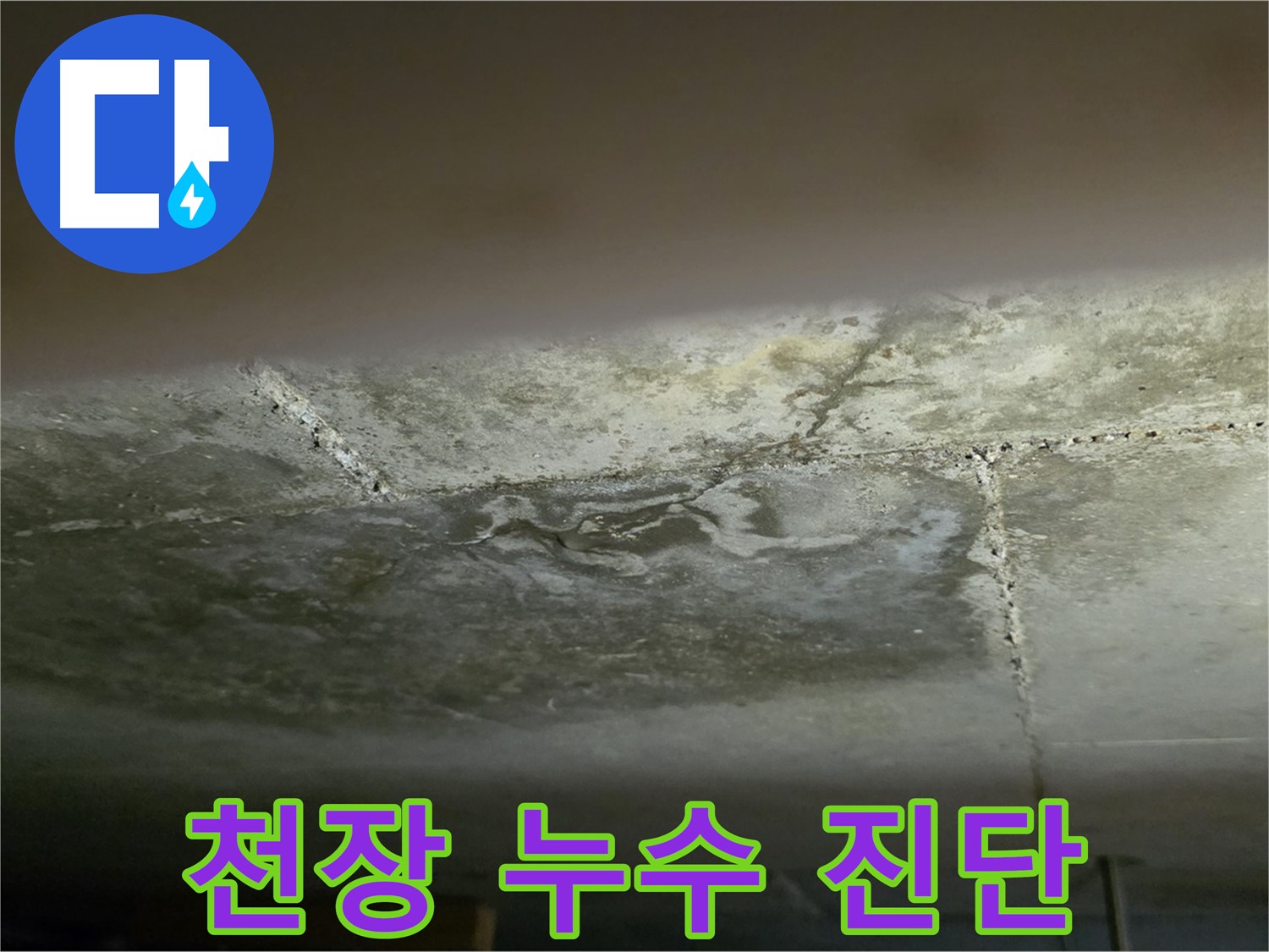 일산서구 가좌동 아파트 천장 누수 - 누수 진단 및 원인 분석