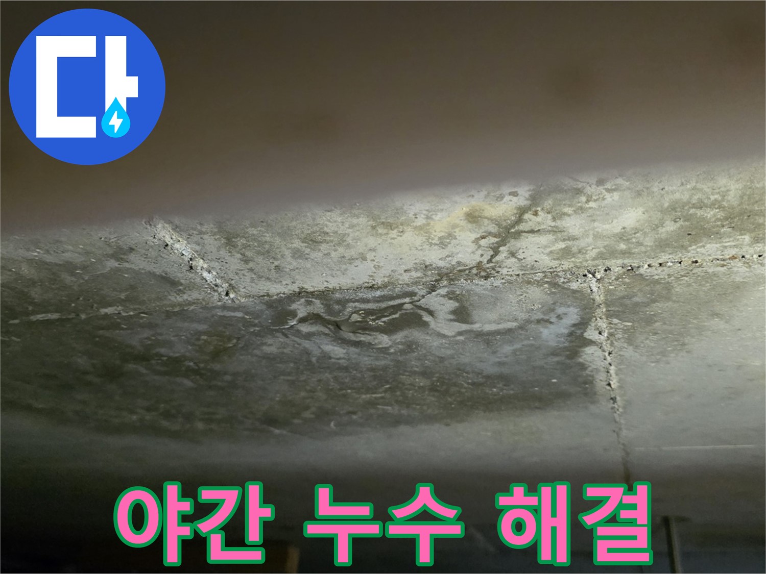 일산서구 탄현동 아파트 천장 누수 - 24시간 야간 긴급 해결