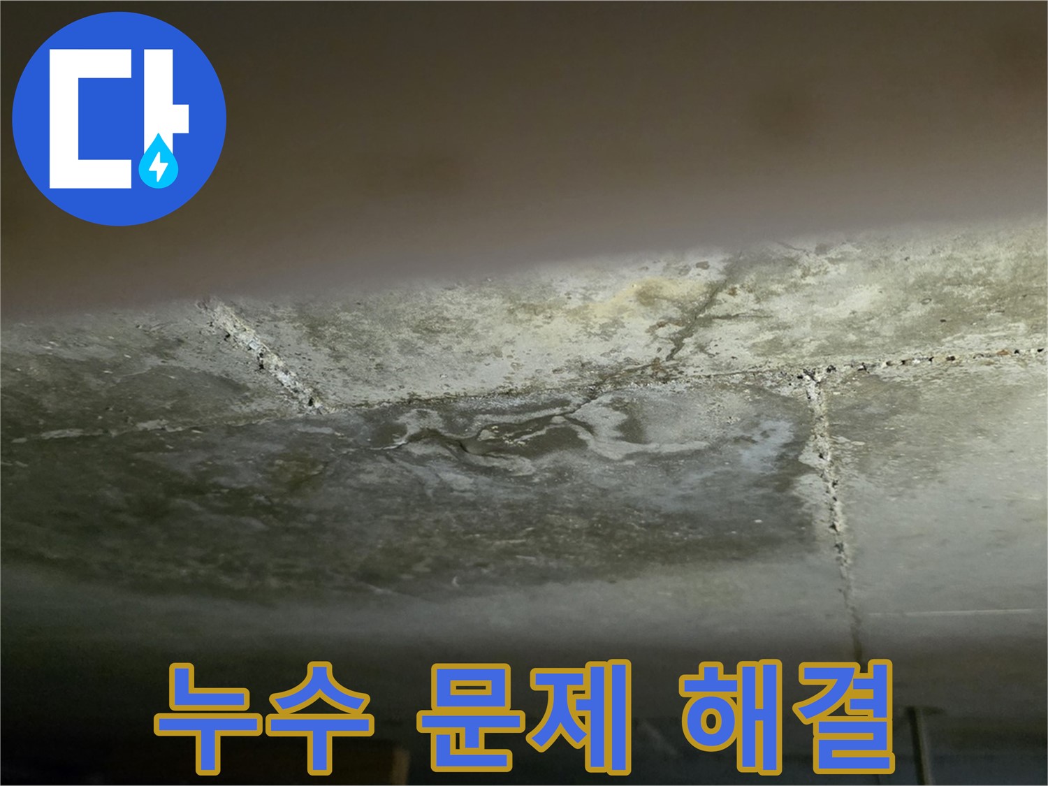일산서구 하이파크 아파트 누수 문제 해결 - 정확한 진단으로 완벽 해결