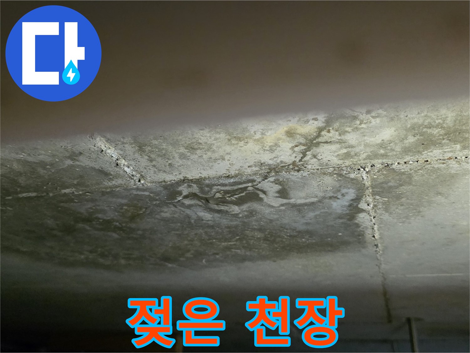 일산서구 하이파크 아파트 젖은 천장 - 누수 초기 증상 및 긴급 점검
