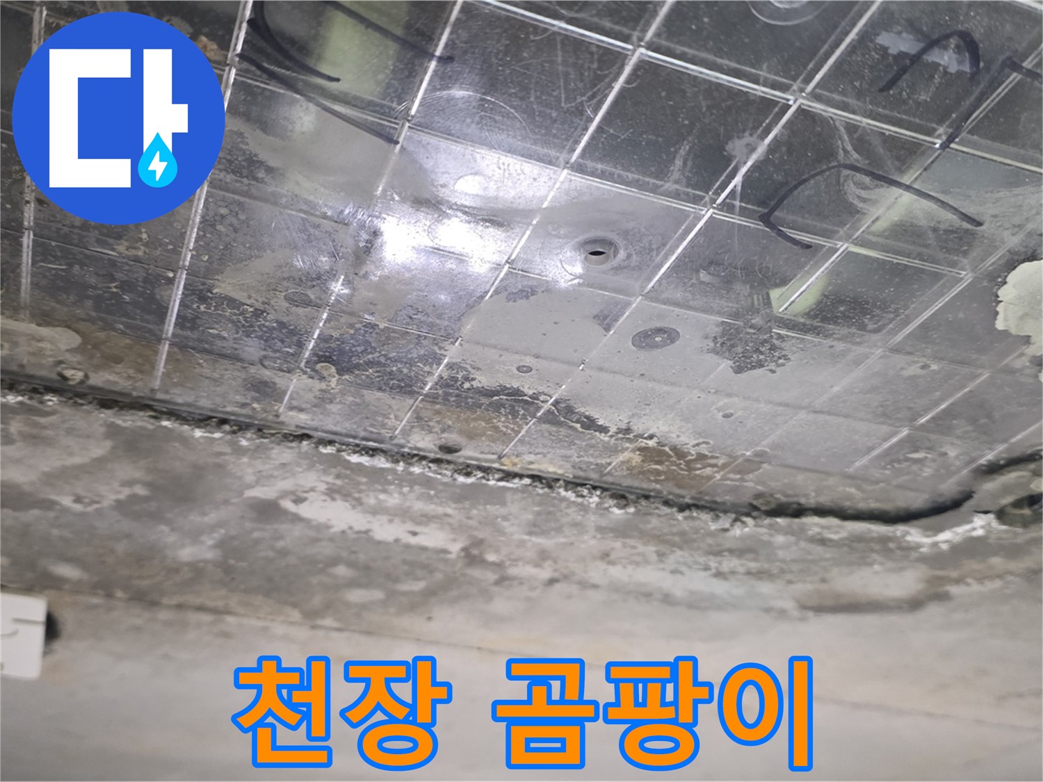 천장 곰팡이 - 누수로 인해 천장에 곰팡이가 번식하고 있습니다.
