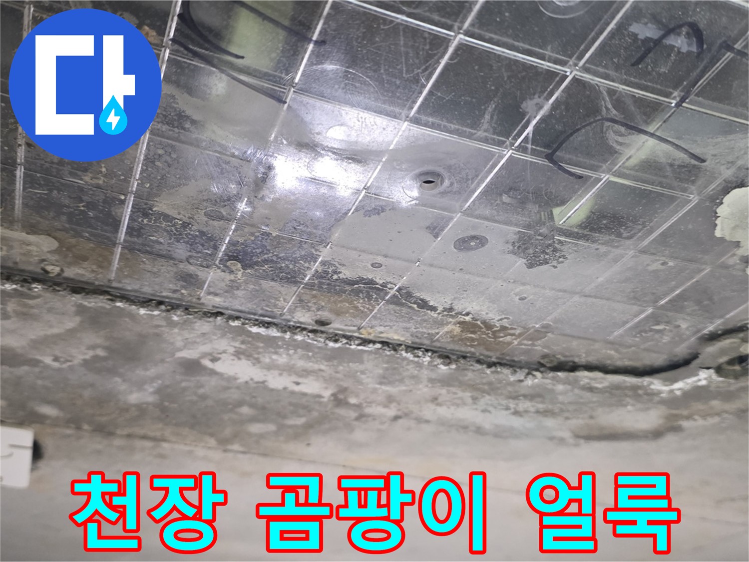 천장 곰팡이 얼룩 - 누수로 인해 천장에 곰팡이가 생긴 얼룩이 보입니다.