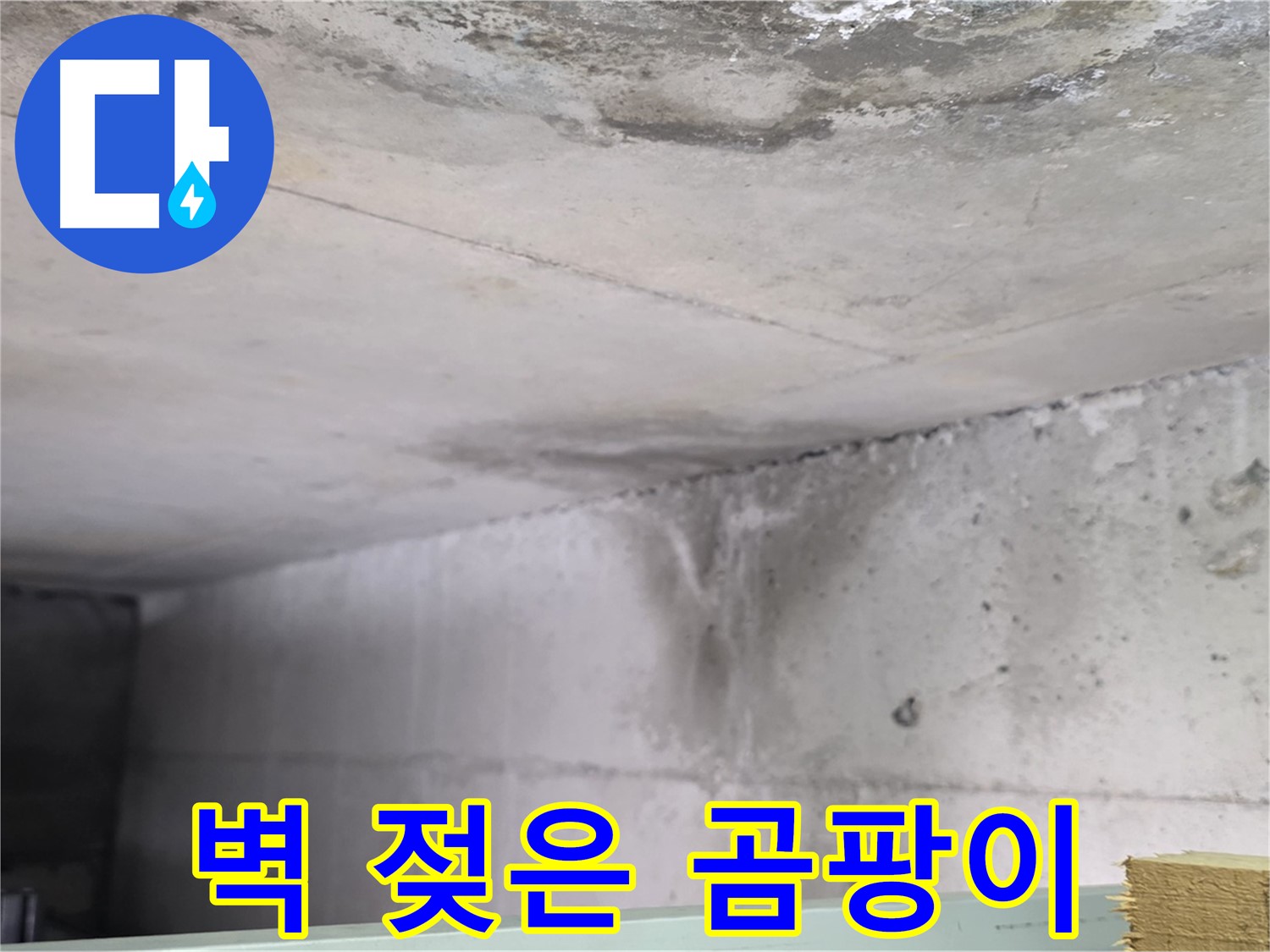 콘크리트 벽면 누수 - 덕이동 누수, 젖은 자국과 곰팡이 동시 발생