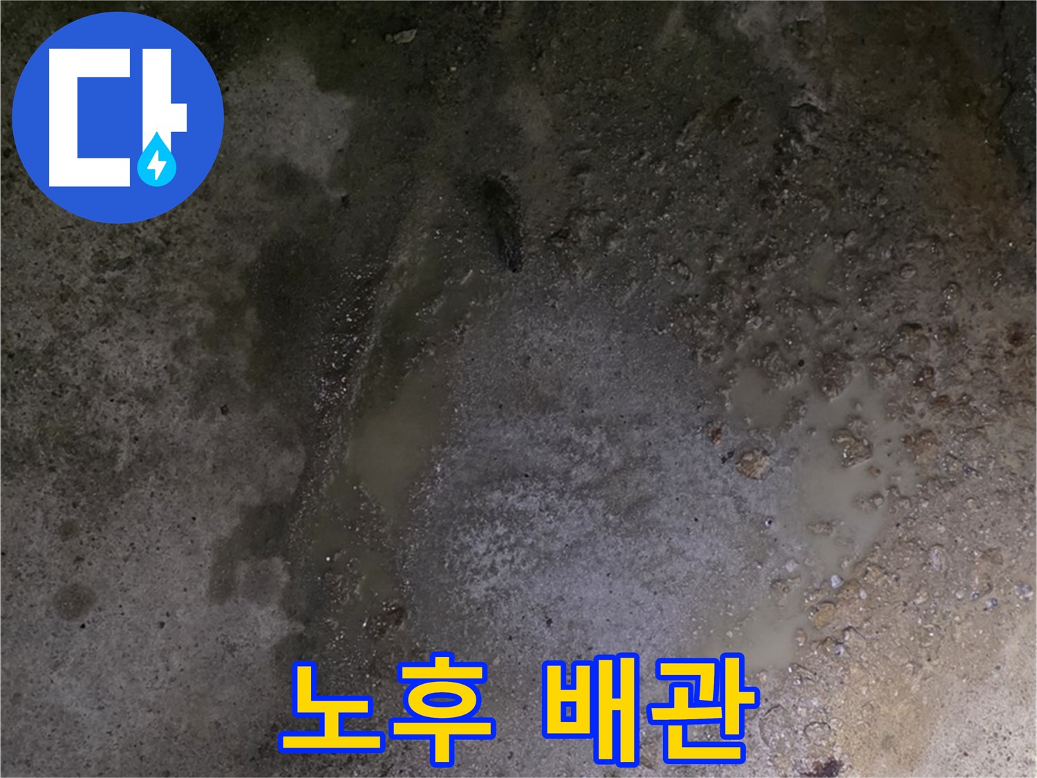 강원특별자치도 철원군 서면 와수리 누수 현장 - 노후된 배관은 누수 위험을 증가시키므로 점검이 필요합니다.