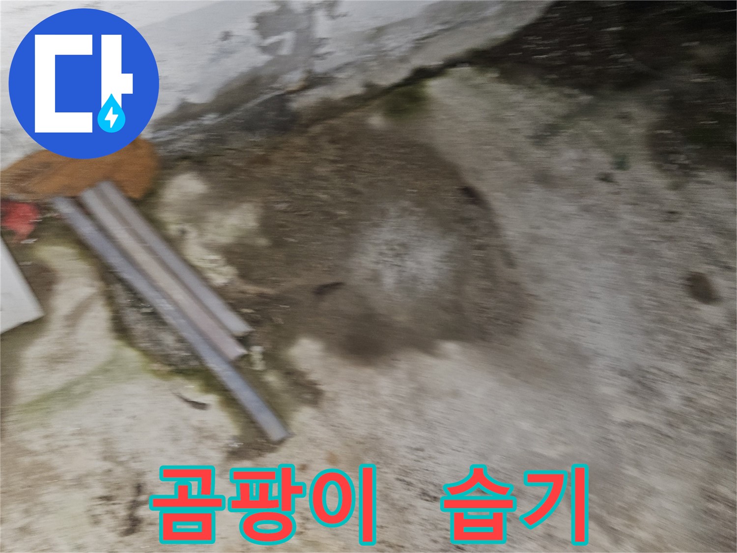 곰팡이 냄새와 습기는 누수 초기 증상일 수 있습니다.