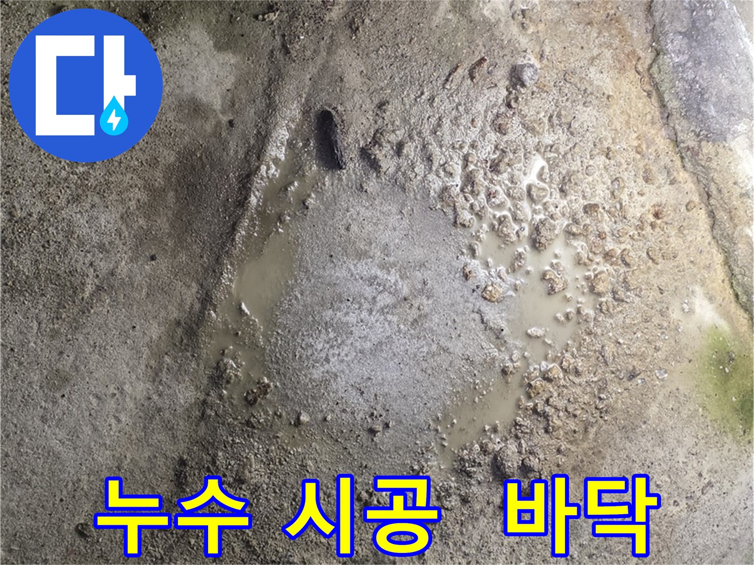 철원군 서면 와수리 누수 시공 - 누수 탐지부터 완벽한 시공까지 책임지고 진행합니다.