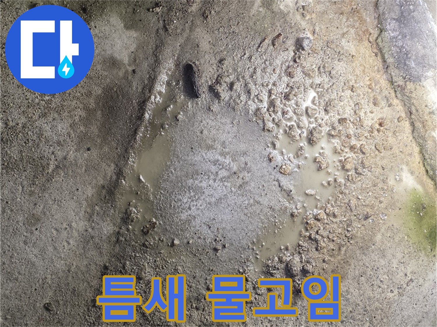 철원군 서면 와수리 누수 - 콘크리트 갈라진 틈새에 물이 고여 있다면 누수 긴급 점검이 필요합니다.