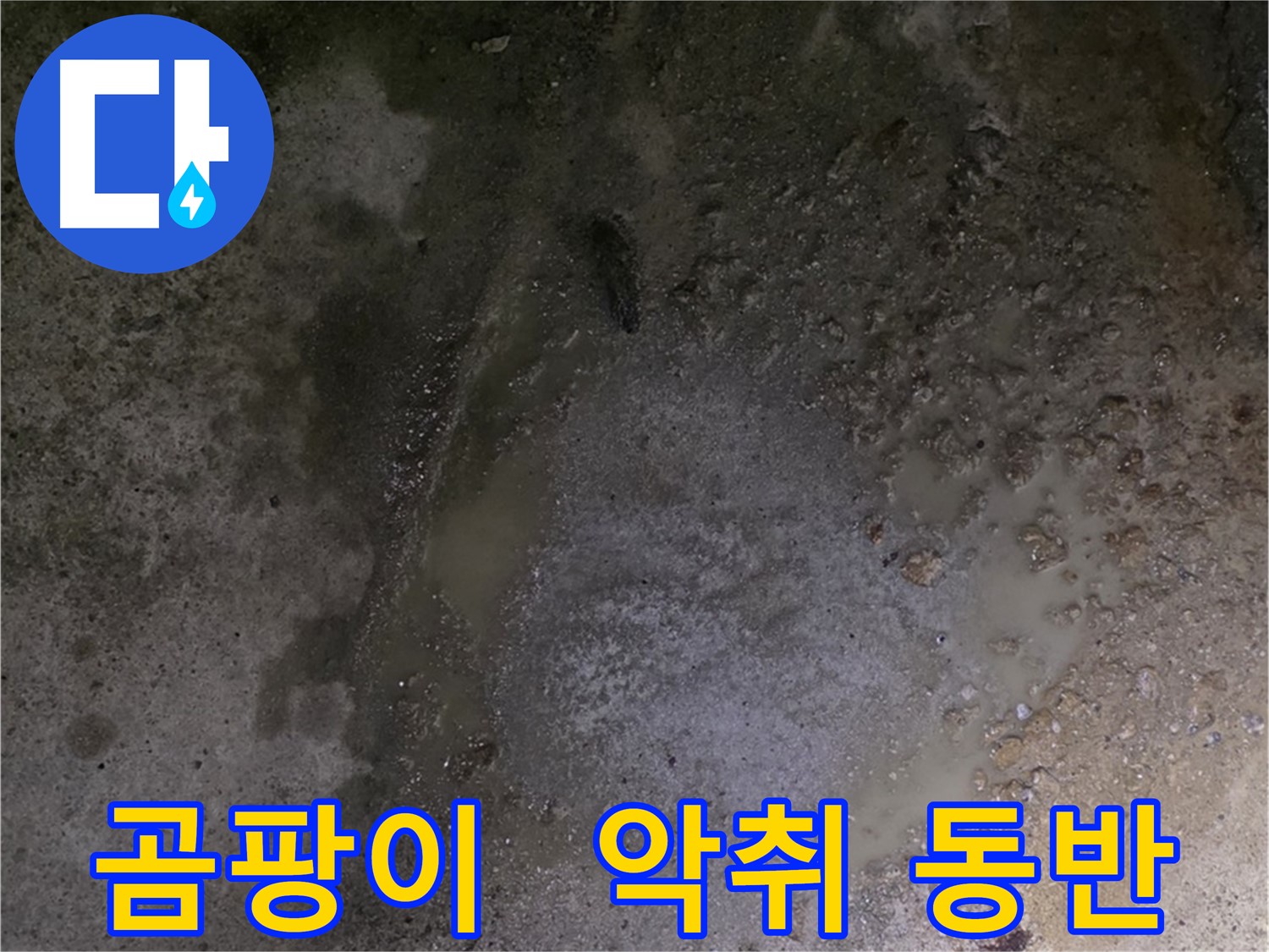 철원군 서면 와수리 누수 현장 - 곰팡이와 악취가 함께 발생하는 누수 현장입니다.