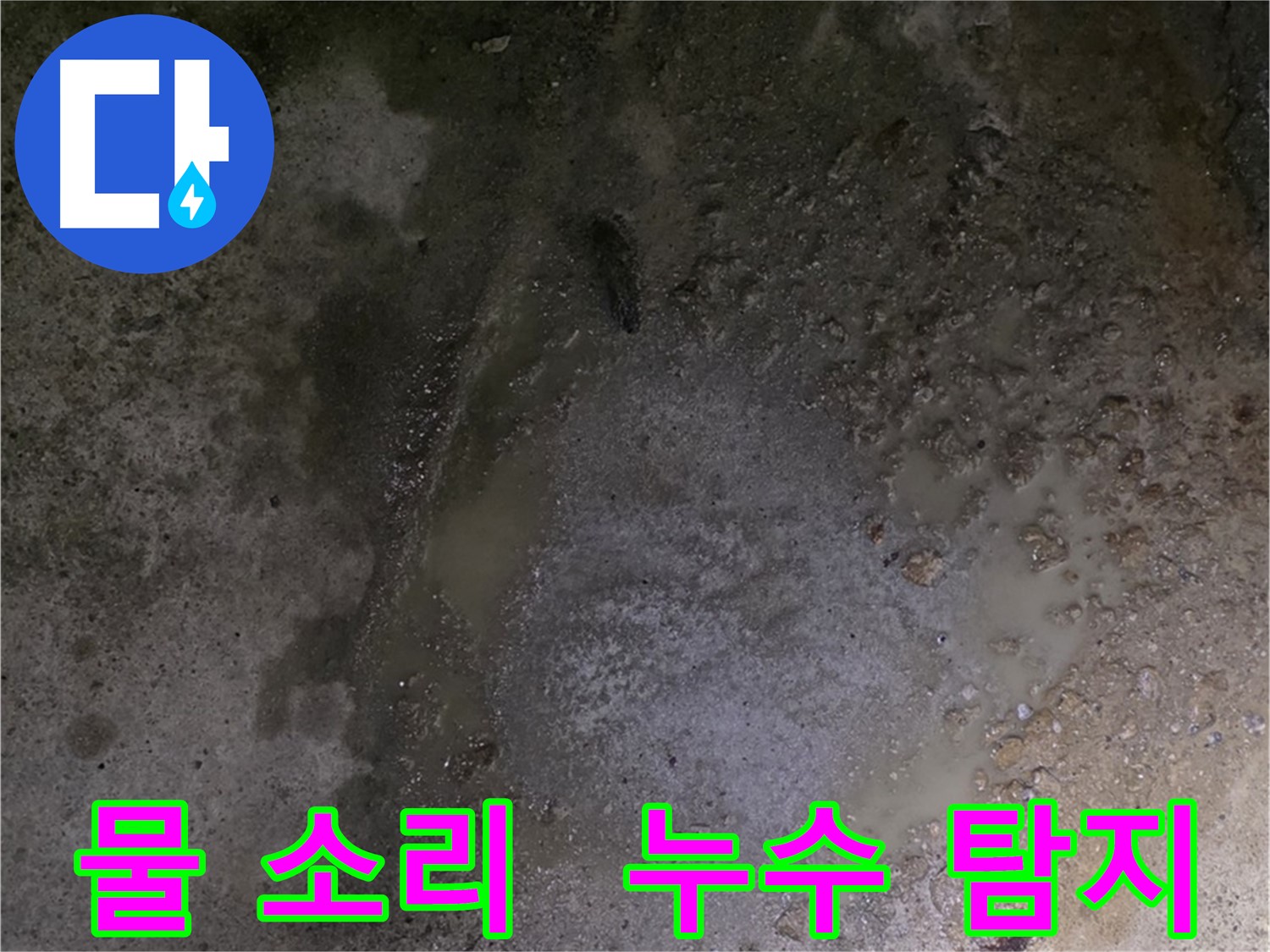 철원군 서면 와수리 누수 현장 - 물이 새는 소리를 통해 누수 지점을 추적하고 있습니다.