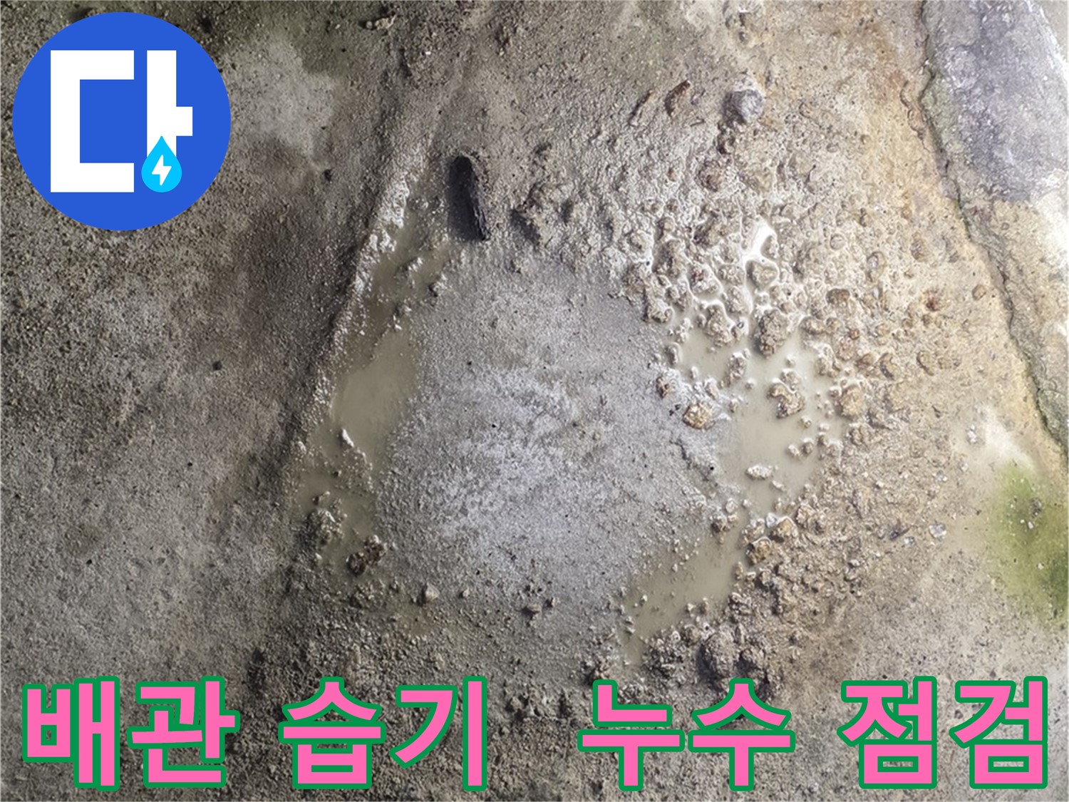 철원군 서면 와수리 누수 현장 - 배관 주변에 습기가 있는 상태로 전문적인 누수 점검이 필요한 상황입니다.