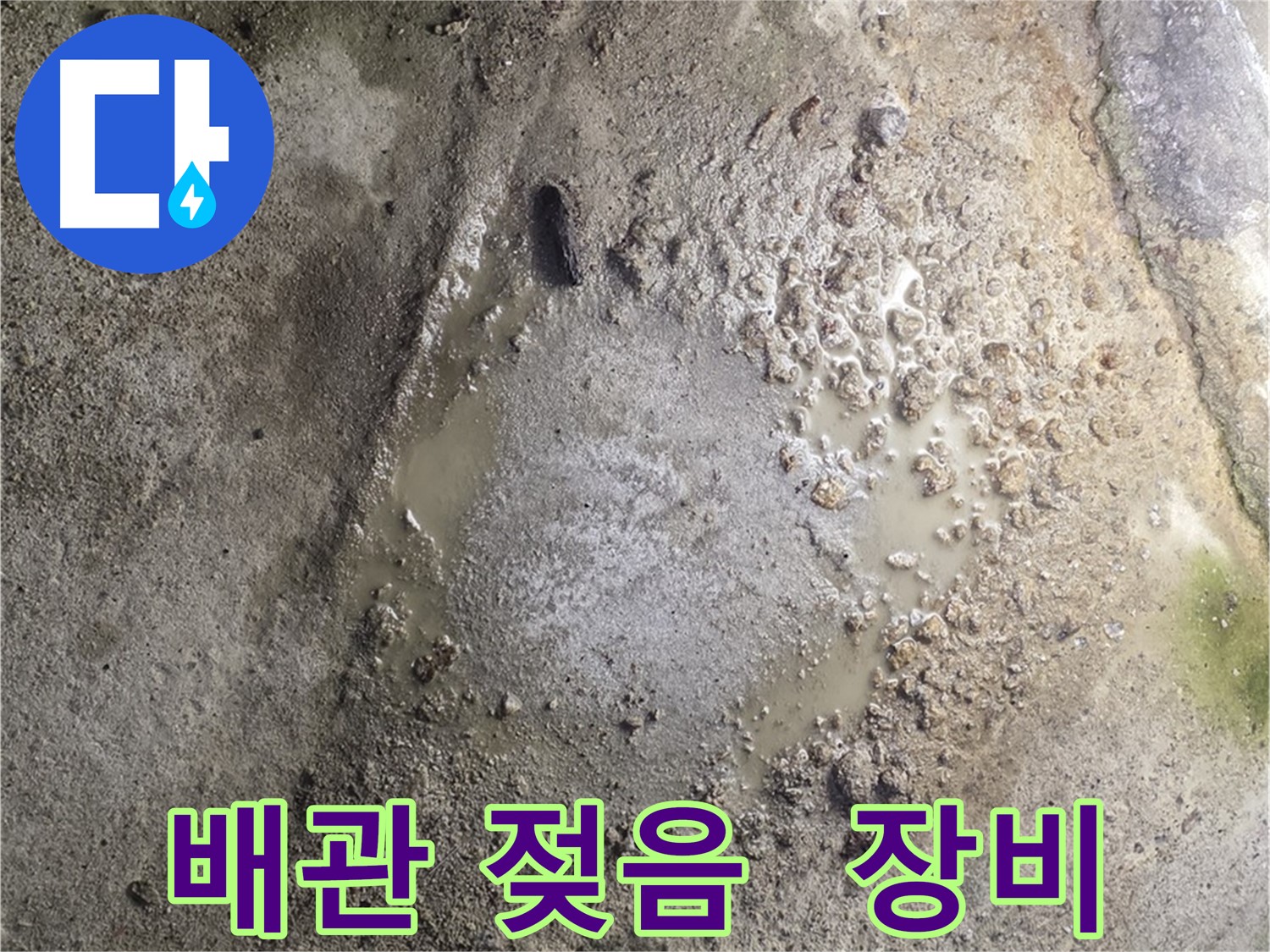 철원군 서면 와수리 누수 현장 - 배관 주변이 젖어 있는 상태로 전문 장비를 사용한 점검이 진행 중입니다.