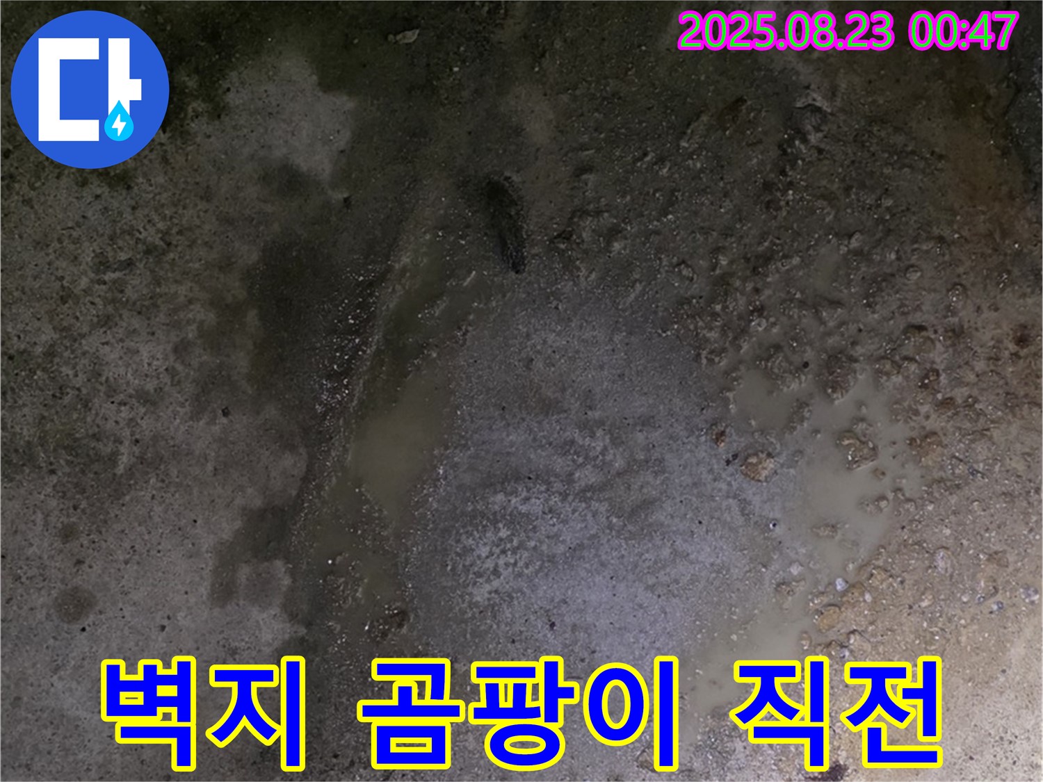 철원군 서면 와수리 누수 현장 - 콘크리트 바닥 물 스며나옴 - 벽지에 곰팡이가 발생하기 직전입니다 - 건강에 해로운 영향을 줄 수 있습니다.