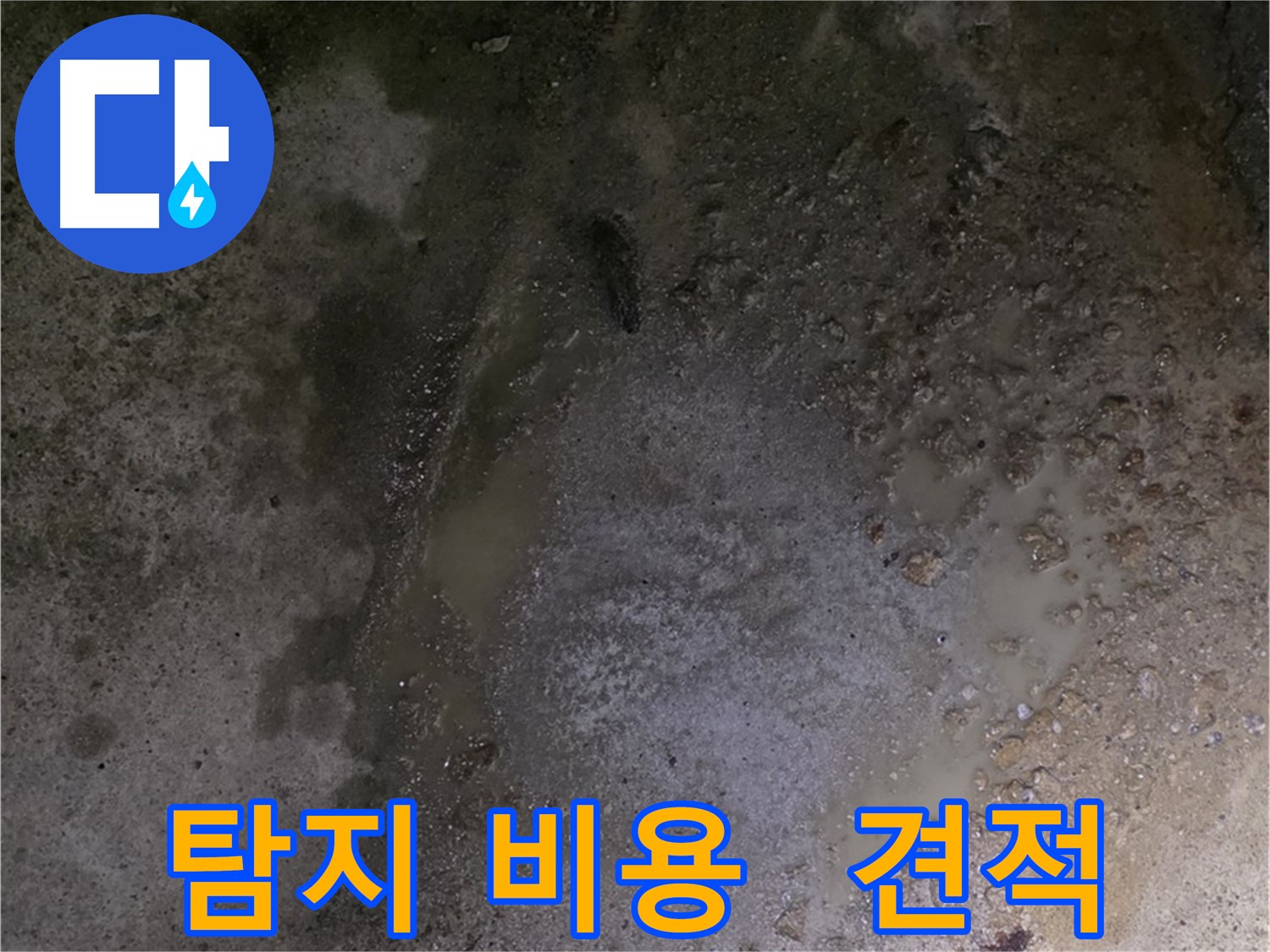 철원군 서면 와수리 누수 현장 - 합리적인 누수 탐지 비용으로 고객님의 부담을 덜어드립니다.