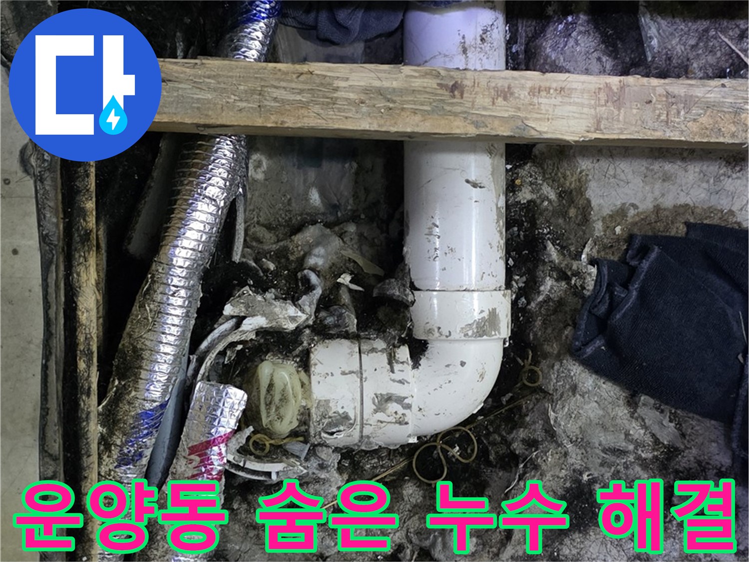 김포 운양동 누수 현장 - 정밀 탐지로 숨은 누수 해결