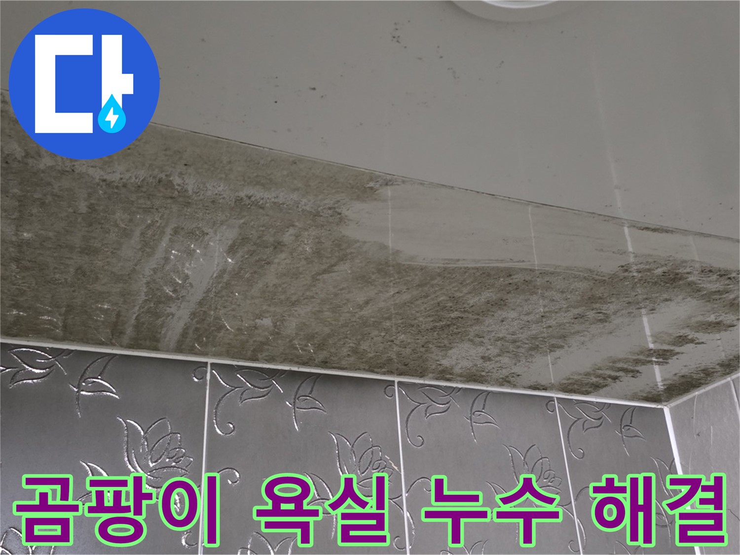 곰팡이 가득한 욕실 - 숨은 누수 지점을 찾아 완벽하게 해결