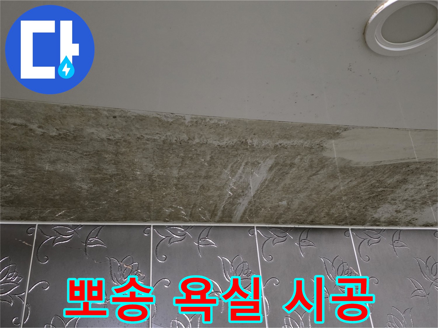 곰팡이 핀 화장실 천장 - 곰팡이 제로, 뽀송뽀송한 욕실! 확실하게 책임지고 시공해 드립니다!