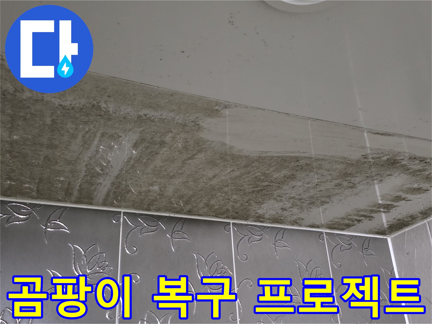 곰팡이로 뒤덮인 욕실 천장 - 누수 원인 해결 후 깨끗하게 복구 완료!