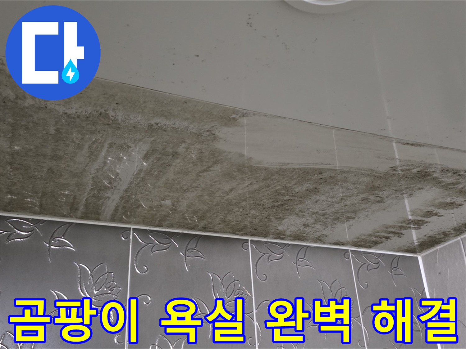 곰팡이로 뒤덮인 욕실 천장 - 누수 원인 해결 후 완벽하게 깨끗해진 모습, 고객 만족!