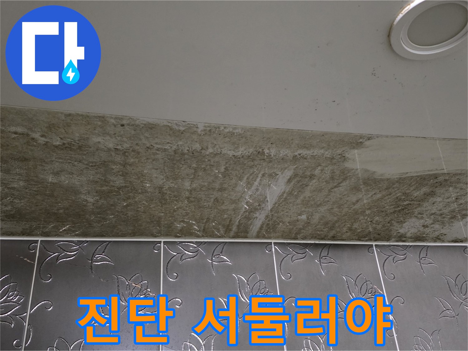 곰팡이로 얼룩진 화장실 천장 - 누수 진단 서둘러 진행