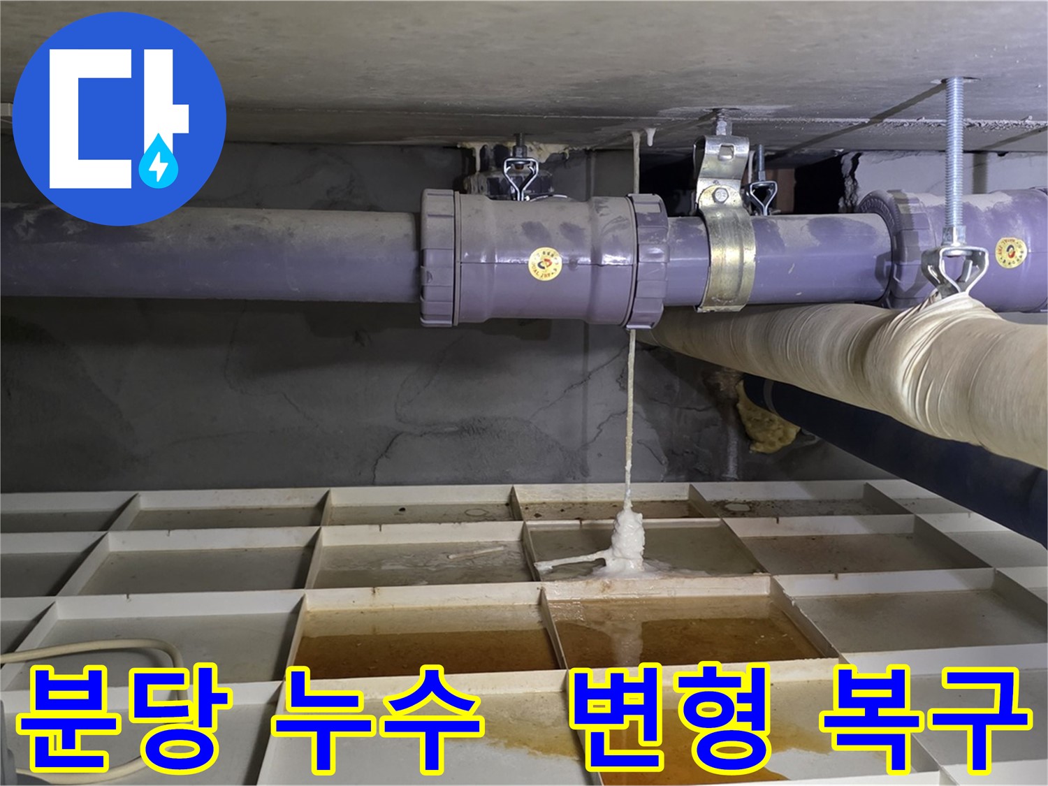 분당 산운마을 6단지 배관 누수 - 연결 부속 변형, 전문 장비로 완벽 복구 작업