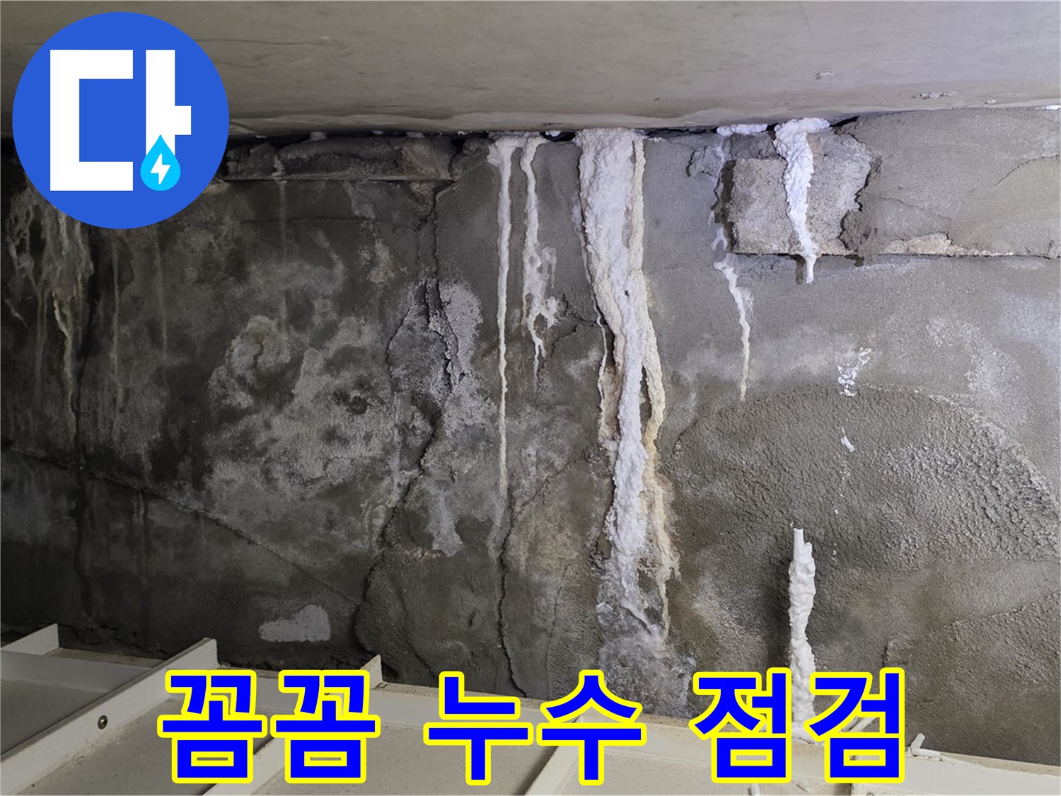 분당 운중동 건물 누수 - 꼼꼼 점검, 누수 초기 진단!