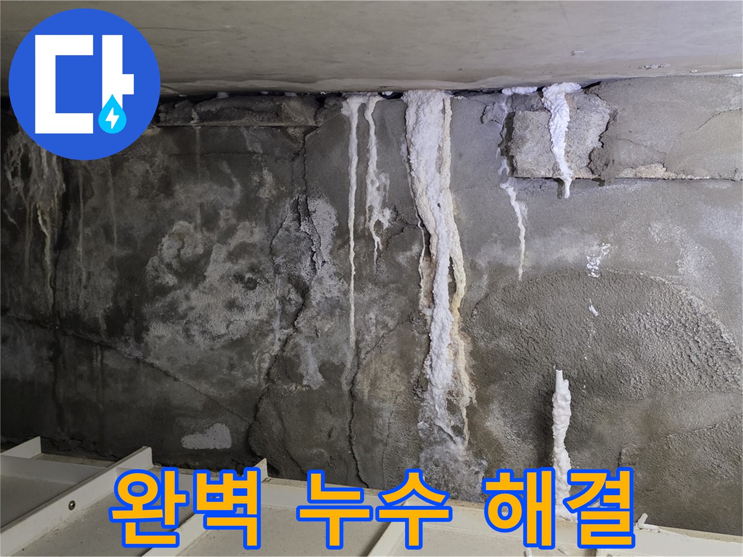 분당 운중동 건물 누수 - 완벽한 해결, 쾌적한 환경으로!