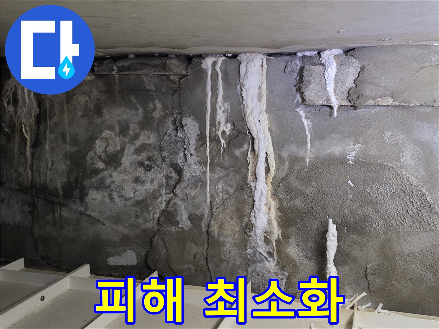 분당 운중동 건물 누수 - 콘크리트 누수 - 피해 최소화에 집중